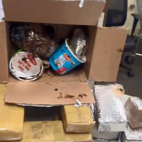 C&atilde;es farejadores encontram 21 kg de maconha em pacotes dos Correios