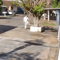 Pitbull escapa de resid&ecirc;ncia e ataca mulher de 53 anos na Vila Taquarussu