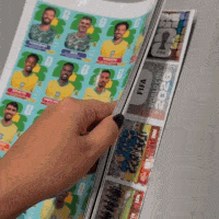 Vereadora d&aacute; mau exemplo ao anunciar impress&atilde;o de figurinhas &ldquo;fake&rdquo; da Copa