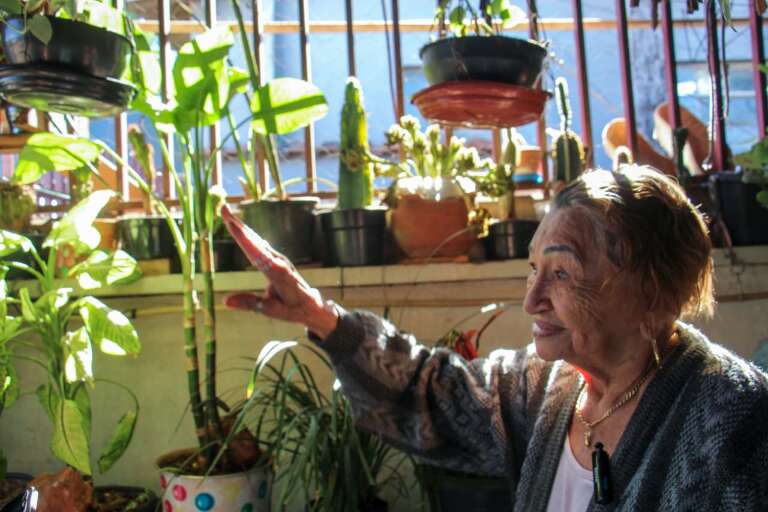 Antônia reza para suas plantas que por anos não vingaram no Sertão