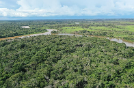 Reserva em Corumbá terá 95% da área voltada à preservação da onça pintada