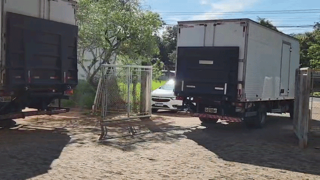 Tonelada de "Monjauro paraguaio" segue em comboio rumo &agrave; incinera&ccedil;&atilde;o