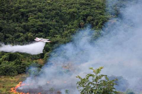 Bombeiros fazem queima prescrita em treinamento no Parque do Rio Taquari