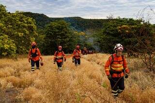 Bombeiros fazem queima prescrita em treinamento no Parque do Rio Taquari Bombeiros fazem queima prescrita em treinamento no Parque do Rio Taquari