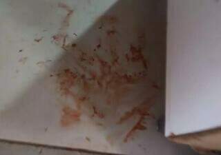 Canal direto com 485 vítimas agiliza resposta a casos de violência contra mulher Canal direto com 485 vítimas agiliza resposta a casos de violência contra mulher