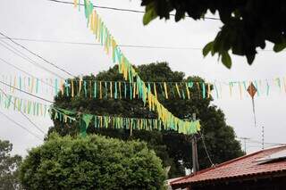 Na Copa, até “inimigo vira amigo” em rua decorada no Jardim Bonança Na Copa, até “inimigo vira amigo” em rua decorada no Jardim Bonança