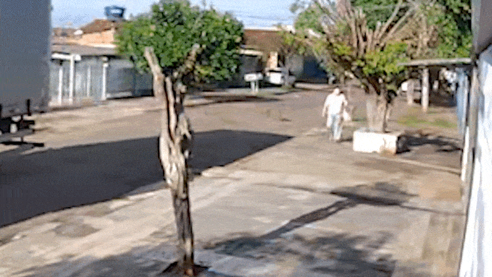 Rotina de ataques de pitbulls deixam v&iacute;timas e exp&otilde;em falhas de tutores 