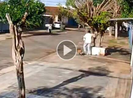Pitbull escapa de resid&ecirc;ncia e ataca mulher de 53 anos na Vila Taquarussu
