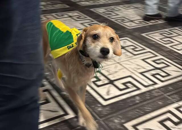 Boby tem roupa de sair, curte samba em bar e j&aacute; escapou de sequestro