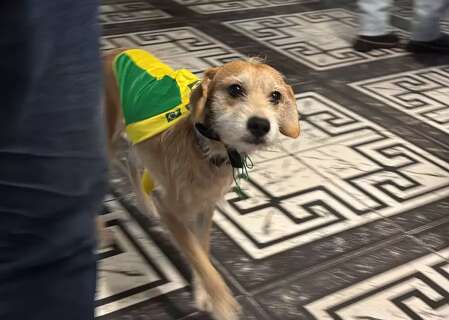 Boby tem roupa de sair, curte samba em bar e j&aacute; escapou de sequestro