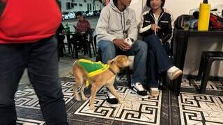 Boby tem roupa de sair, curte samba em bar e já escapou de sequestro Boby tem roupa de sair, curte samba em bar e já escapou de sequestro
