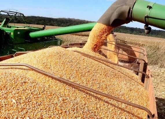 Entra ano, sai ano, Rainha do Agro segue firme e forte
