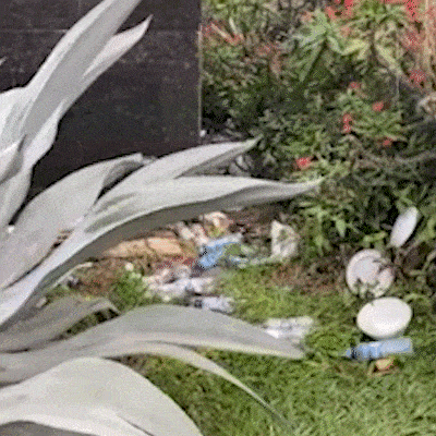 Lixo &ldquo;decora&rdquo; monumento que homenageia marco zero da hist&oacute;ria de Campo Grande
