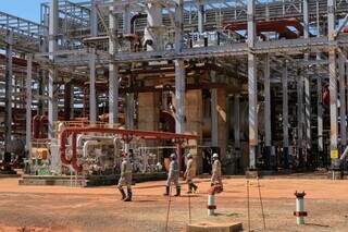 Petrobras avalia duplicar produ&ccedil;&atilde;o de fertilizantes ap&oacute;s avan&ccedil;o da UFN3 em MS