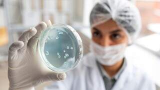 Da cozinha ao hospital: como a Salmonella pode contaminar sua refei&ccedil;&atilde;o