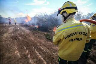 Brigadas ind&iacute;genas e comunit&aacute;rias de 3 Estados fazem treinamento no Pantanal