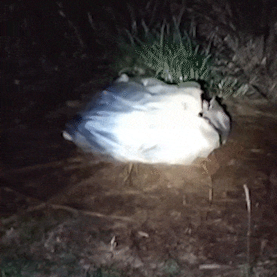 Com frio abaixo de 5&deg;C, homem vive dentro de sacola &agrave;s margens de rodovia