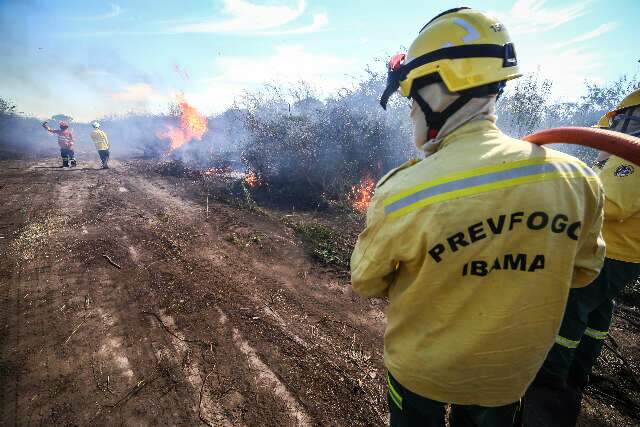 Brigadas ind&iacute;genas e comunit&aacute;rias de 3 Estados fazem treinamento no Pantanal