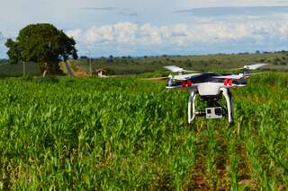 Mato Grosso do Sul est&aacute; entre os 10 estados que mais usam drones no agroneg&oacute;cio