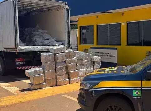 TJ aumenta pena de homem pego com quase 1 tonelada de maconha escondida em carne