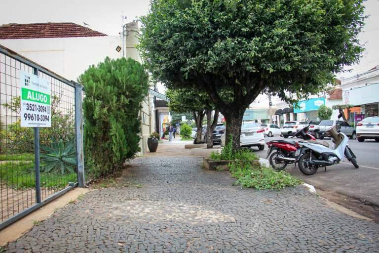 Campo Grande News