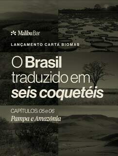 T&aacute; ON: Malibu Bar e LRC Entretenimento em destaque 