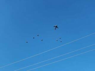 Passagem de aeronaves por Campo Grande gera curiosidade entre moradores