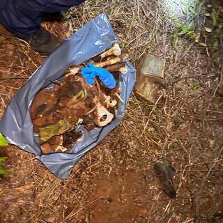 Ossada &eacute; encontrada em fazenda e pode ser de homem desaparecido h&aacute; 3 anos