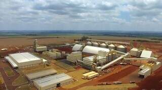 Mesmo com 6 esmagadoras, MS ainda vende quase metade da soja como commodity