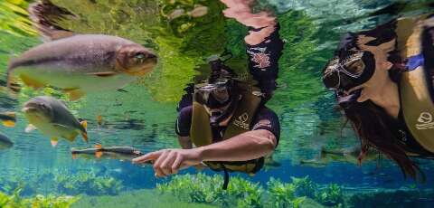 Bonito recebeu, em m&eacute;dia, 1 turista a cada 2 minutos em 2026