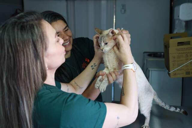 Consult&oacute;rio m&oacute;vel para atender c&atilde;es e gatos chega ao Bairro Oliveira III