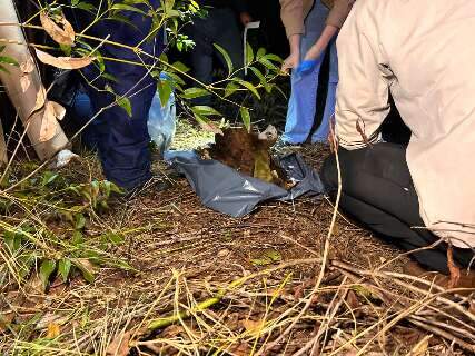 Ossada &eacute; encontrada em fazenda e pode ser de homem desaparecido h&aacute; 3 anos