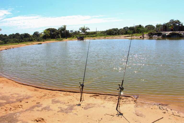 Campo Grande News