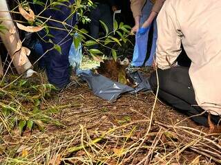 Ossada &eacute; encontrada em fazenda e pode ser de homem desaparecido h&aacute; 3 anos