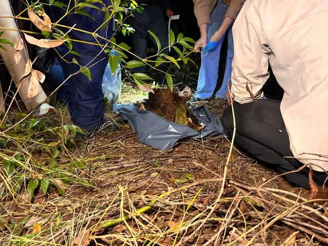 Ossada &eacute; encontrada em fazenda e pode ser de homem desaparecido h&aacute; 3 anos