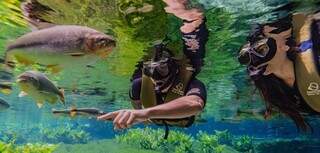 Bonito recebeu, em m&eacute;dia, 1 turista a cada 2 minutos em 2026