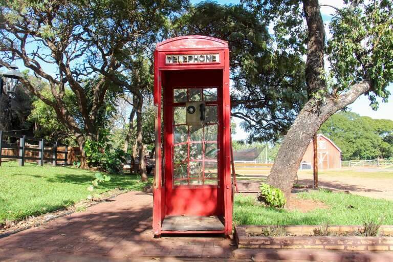Campo Grande News