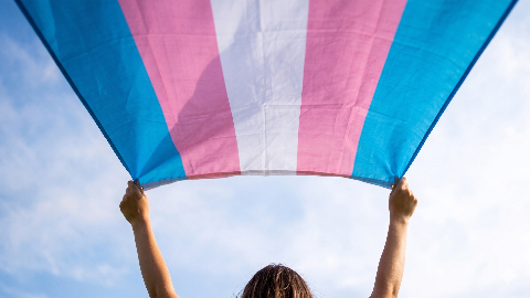 Campo Grande ser&aacute; palco da 1&ordf; Marcha Trans e Travesti de MS