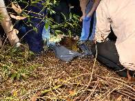 Ossada &eacute; encontrada em fazenda e pode ser de homem desaparecido h&aacute; 3 anos