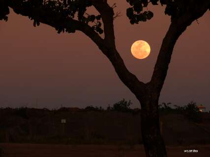 Do alto de pr&eacute;dio e na estrada, Lua de Morango colore o c&eacute;u em tom de fogo