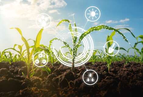 Intelig&ecirc;ncia artificial avan&ccedil;a no agro e transforma gest&atilde;o das propriedades
