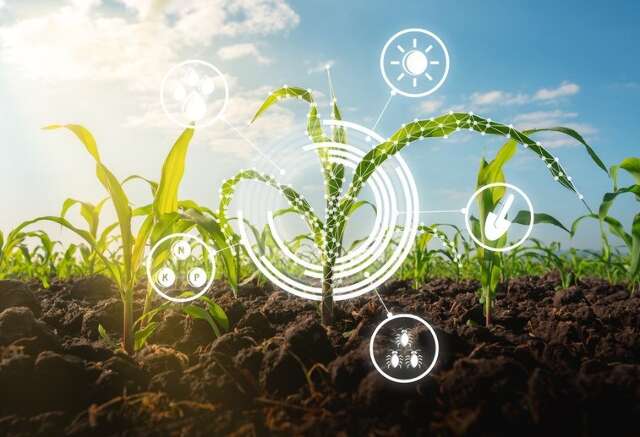 Intelig&ecirc;ncia artificial avan&ccedil;a no agro e transforma gest&atilde;o das propriedades