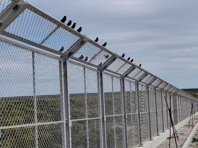 Ponte da Bioce&acirc;nica ganha estrutura para evitar colis&otilde;es de aves em voo