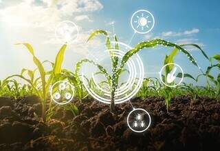 Intelig&ecirc;ncia artificial avan&ccedil;a no agro e transforma gest&atilde;o das propriedades