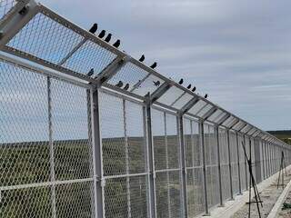 Ponte da Bioce&acirc;nica ganha estrutura para evitar colis&otilde;es de aves em voo