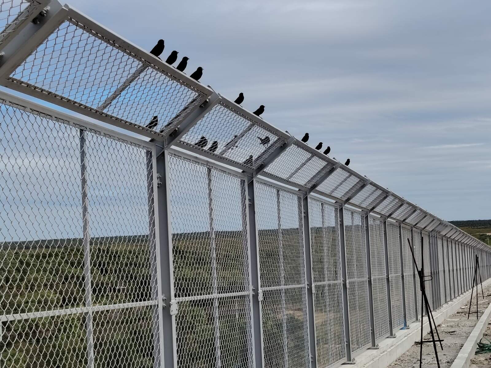 Ponte Bioceânica: Novas Barreiras Protegem Aves e Rio Paraguai
