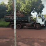 Dupla &eacute; presa jogando restos de poda em rua sem asfalto no Itamarac&aacute;