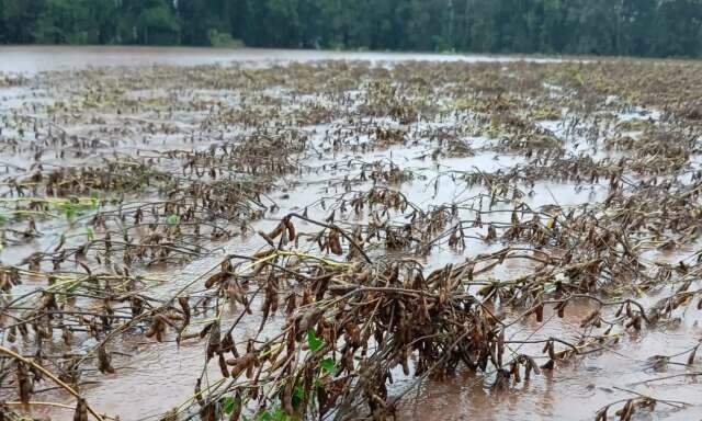 Brasil abre caminho para cr&eacute;dito bilion&aacute;rio voltado ao agro e clima