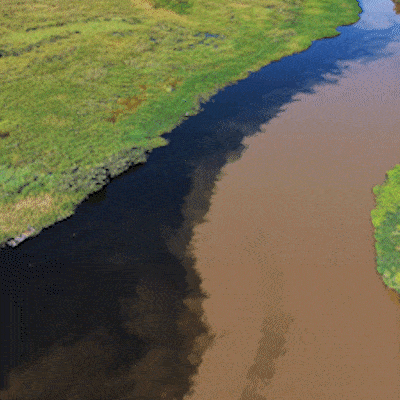 Rios do Pantanal formam contraste entre &aacute;guas ao se encontrar