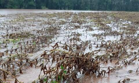 Brasil abre caminho para cr&eacute;dito bilion&aacute;rio voltado ao agro e clima